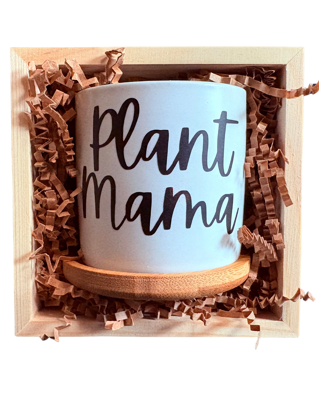 Plant Mama Ceramic 3in Pots