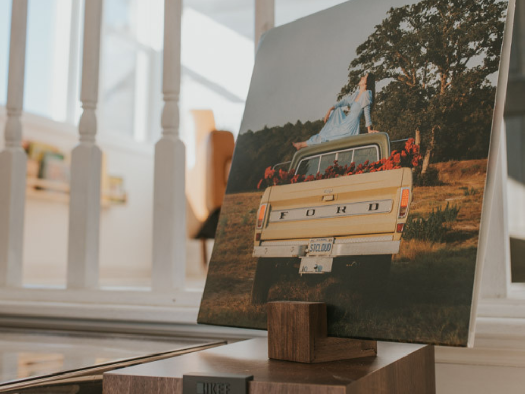 Tabletop Record Stand - The Leafy Branch