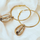 Cowry Gold Hoop Earrings