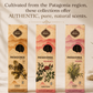 Variety Bundle Incense Sticks | 14 Boxes | Assortment