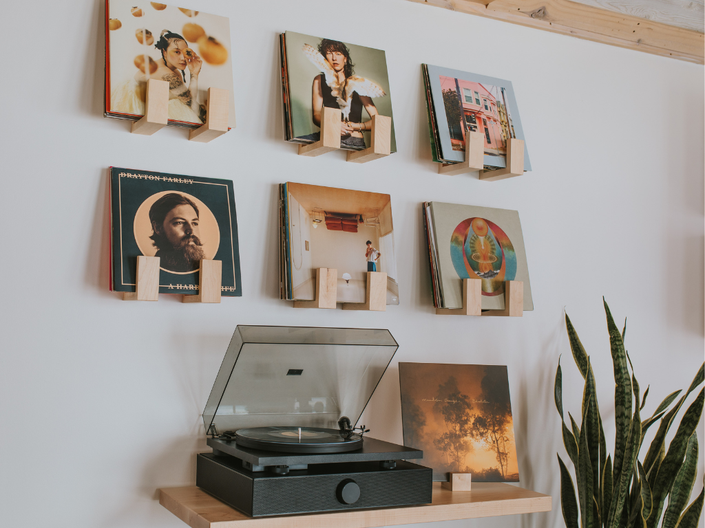 Flip Record Display Shelf - The Leafy Branch