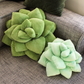 Big Pop Succulent® - Olive Green