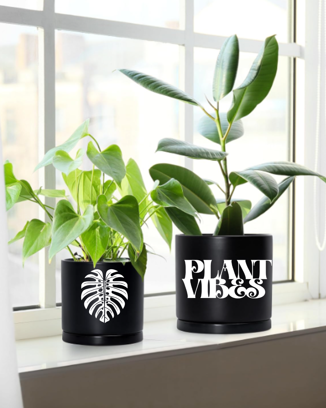 Signature Ceramic Monstera Planter- Black