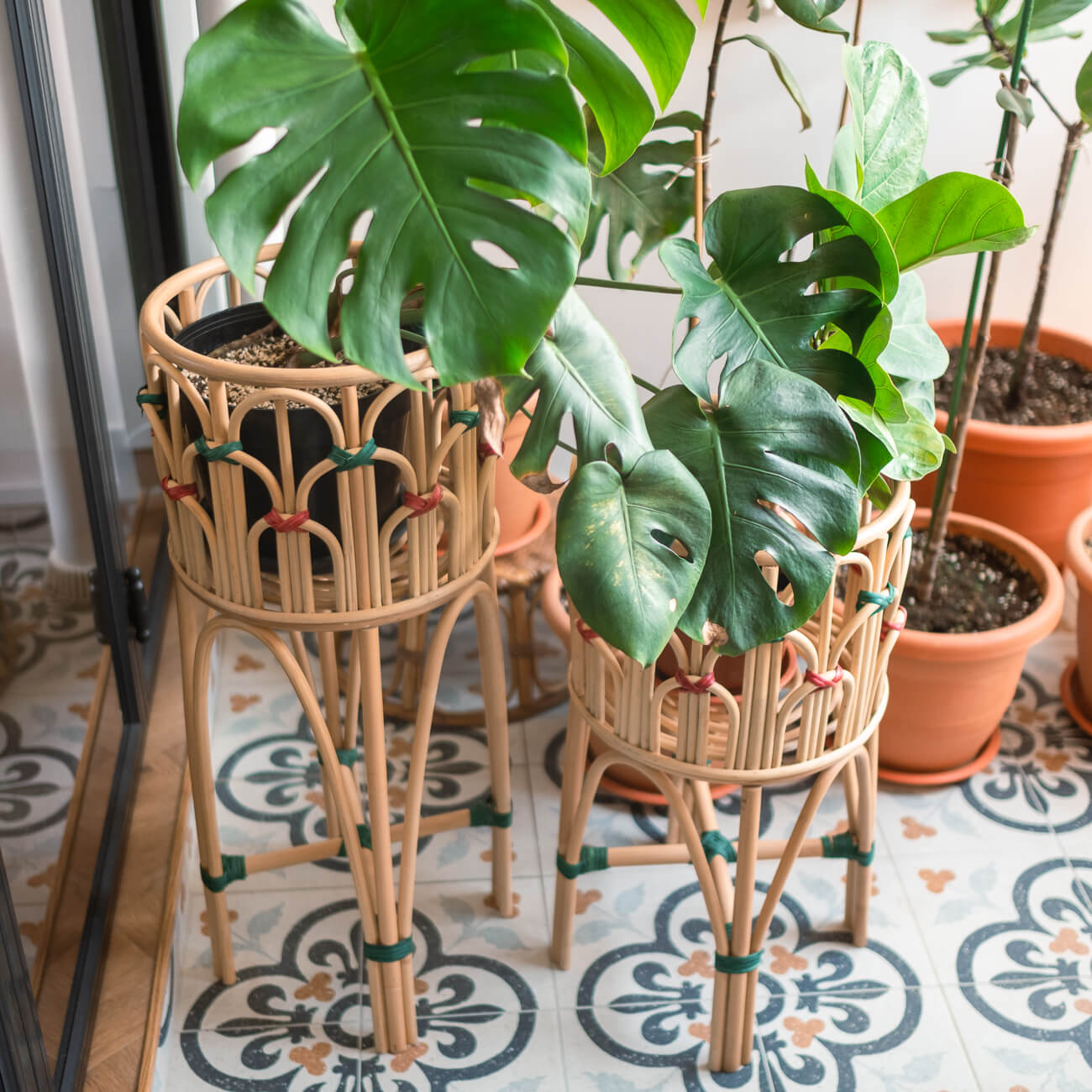 Iris Planter - The Leafy Branch