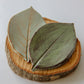 Large Leaf Dish