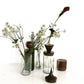 Wooden Topped Apothecary Jars - The Leafy Branch
