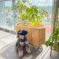 Isle Wicker Plant Stand - The Leafy Branch