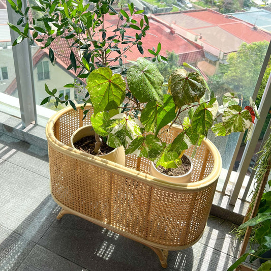 Isle Wicker Plant Stand - The Leafy Branch