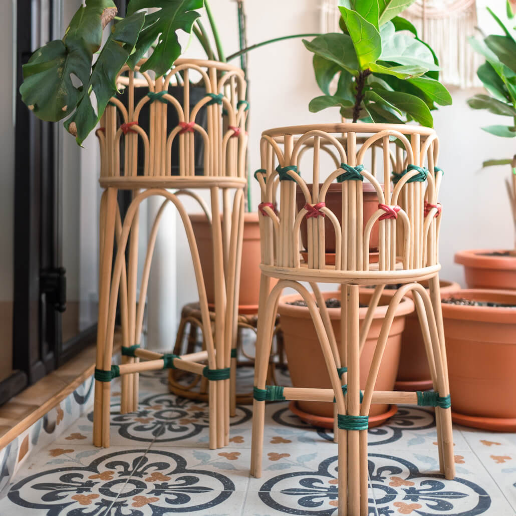 Iris Planter - The Leafy Branch