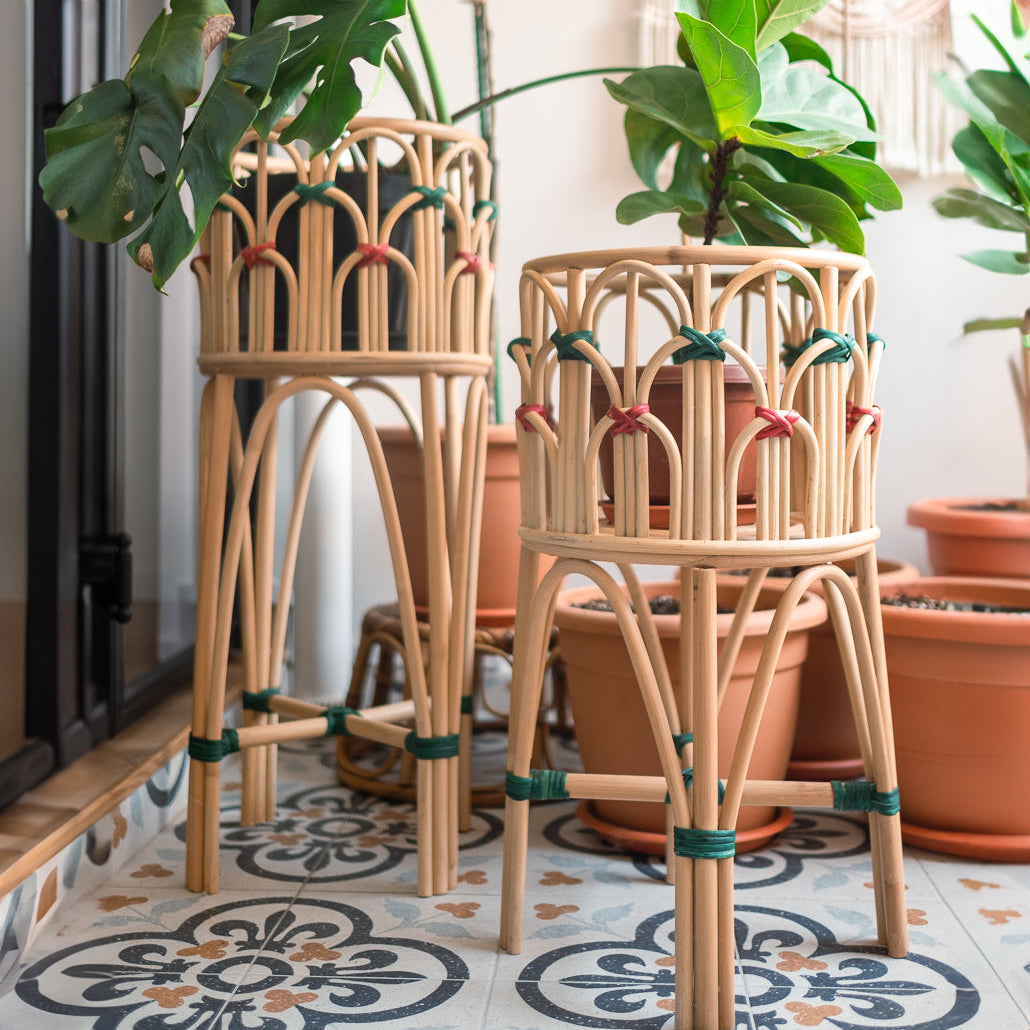 Iris Planter - The Leafy Branch