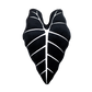 Alocasia Frydek - Obsidian