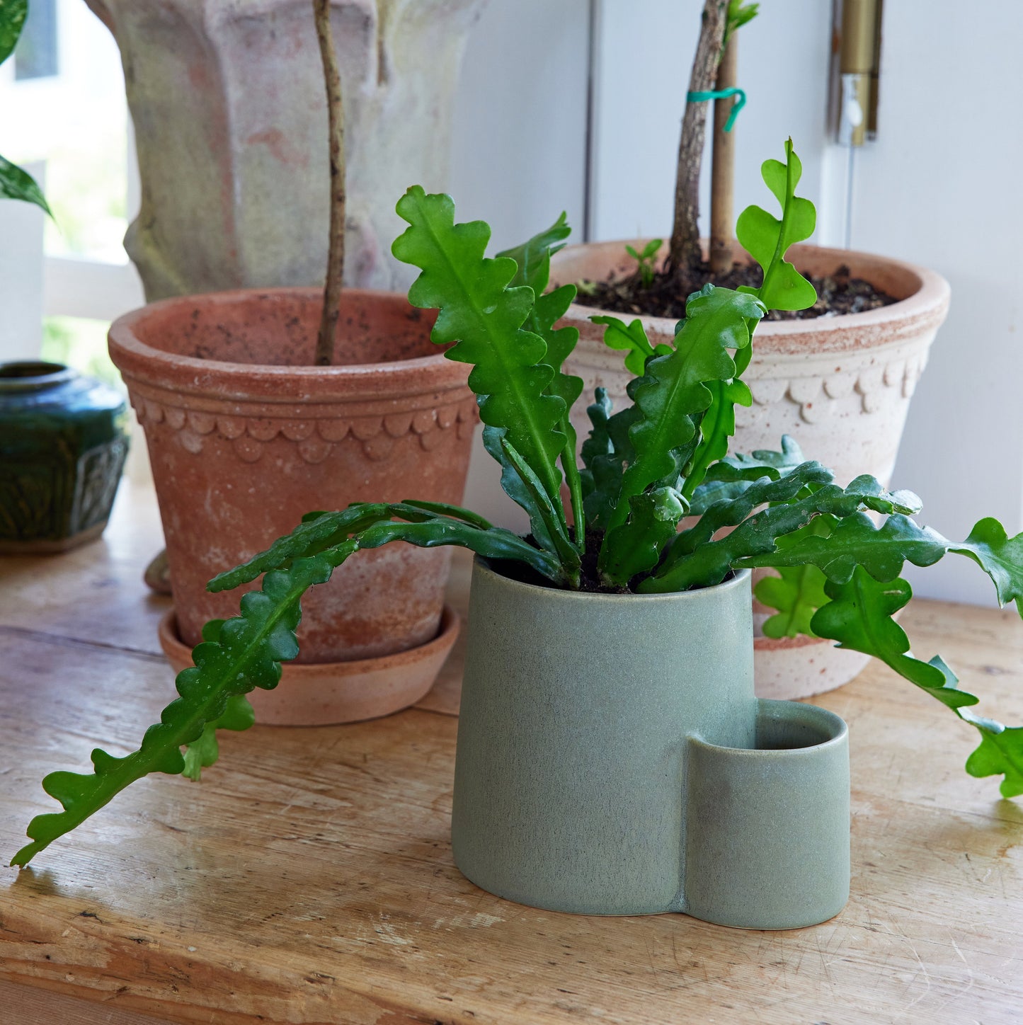 Ember Earth Candle + Planter