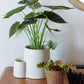Ember Earth Candle + Planter