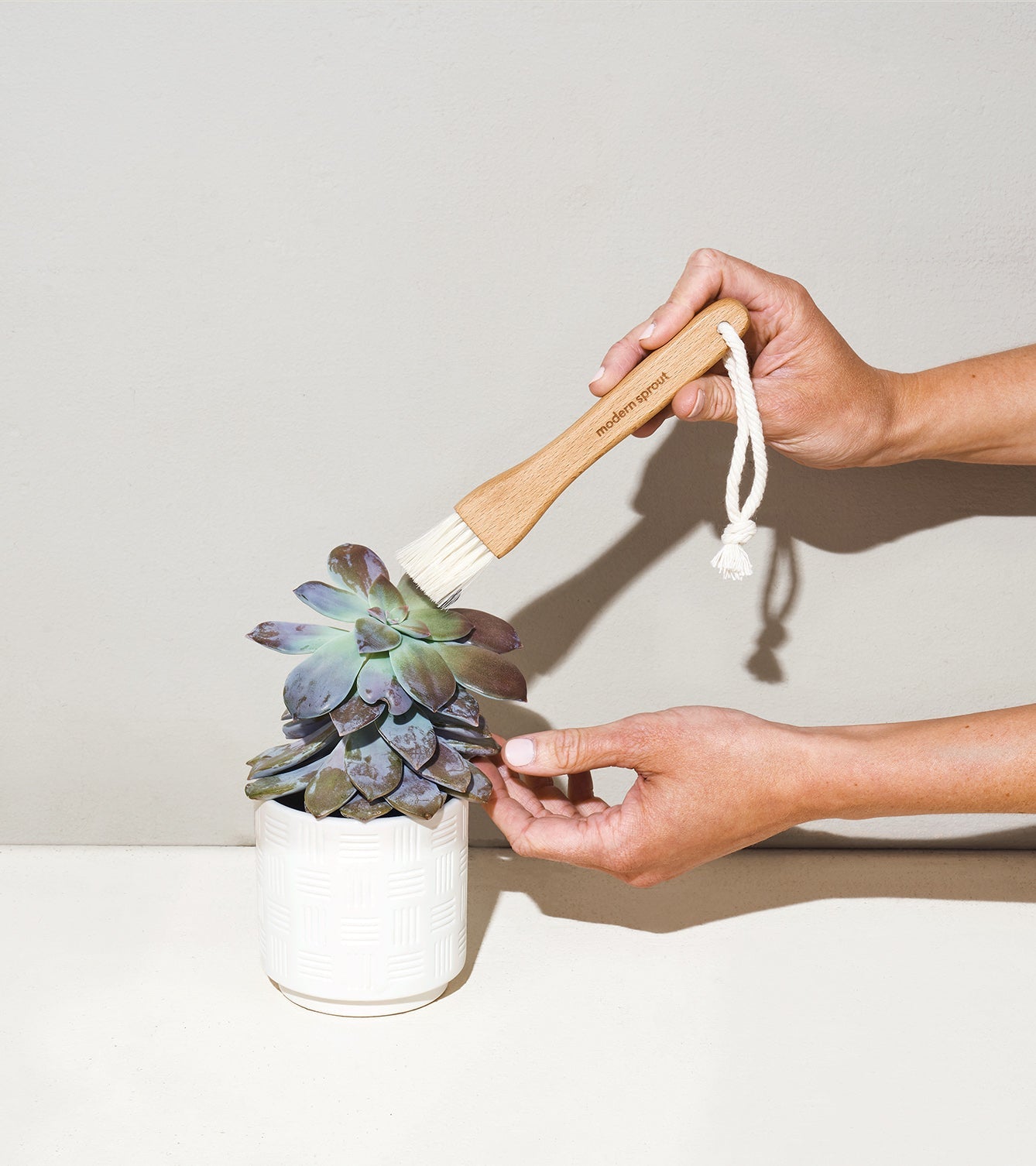 Plant Parent Gift Box Set