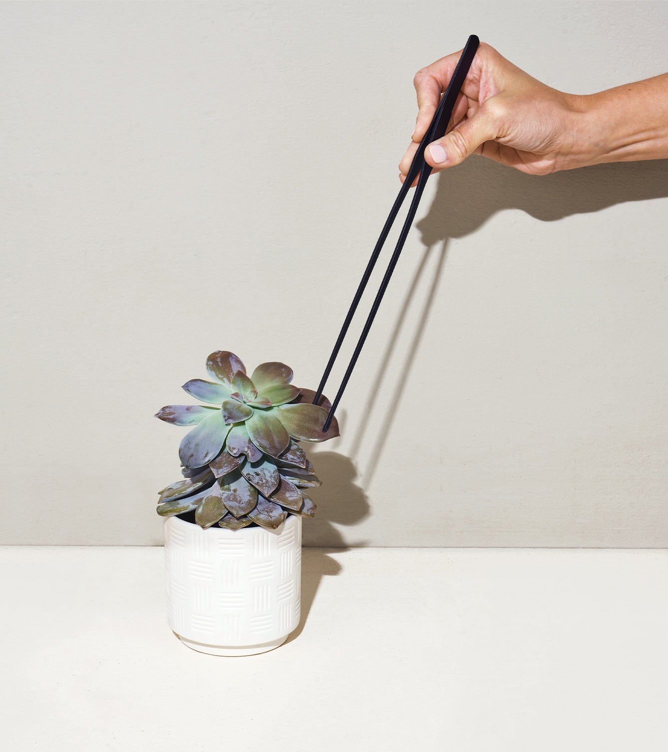 Plant Parent Gift Box Set