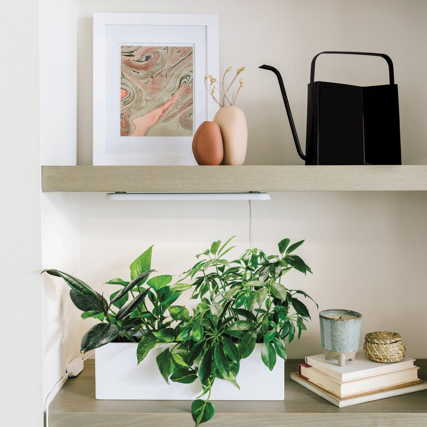 Brass & Matte Watering Can