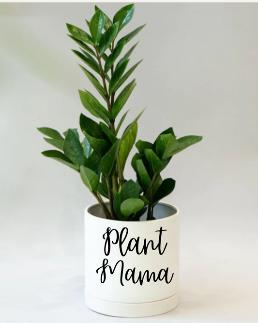 Plant Mama Planter- White