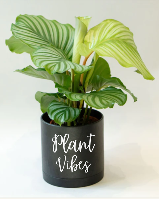 Plant Vibes Ceramic Planter