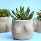 Boobs Planter | Woman Body Pot - The Leafy Branch
