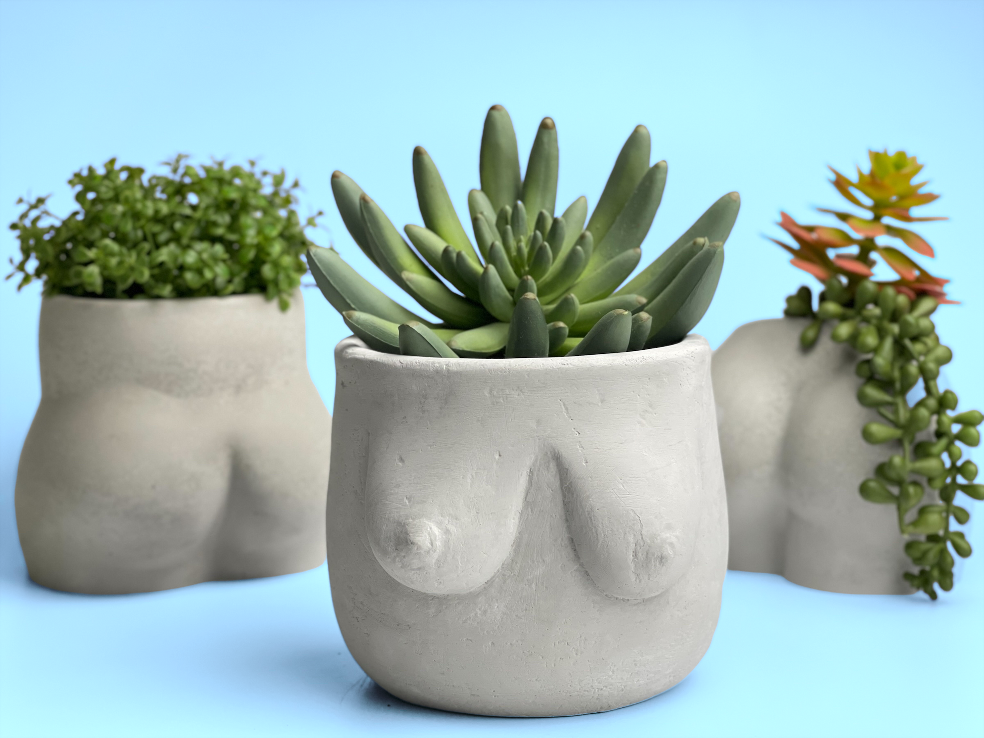 Boobs Planter | Woman Body Pot - The Leafy Branch