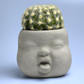 Baby Face Succulent Planter - The Leafy Branch