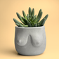 Boobs Planter | Woman Body Pot - The Leafy Branch