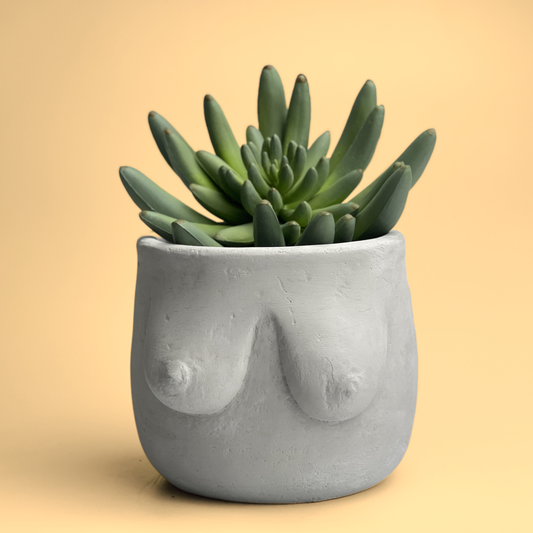 Boobs Planter | Woman Body Pot - The Leafy Branch