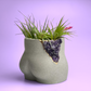 Amethyst Butt Planter - The Leafy Branch