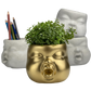 Baby Face Succulent Planter - The Leafy Branch