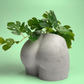 Butt Planter | Woman Body Pot - The Leafy Branch