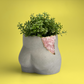 Rose Quartz Butt Planter - The Leafy Branch