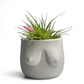 Boobs Planter | Woman Body Pot - The Leafy Branch