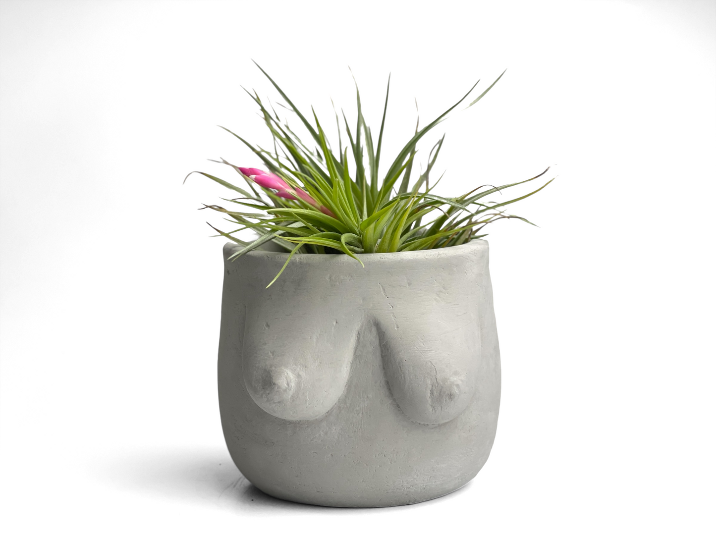 Boobs Planter | Woman Body Pot - The Leafy Branch