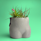 Amethyst Butt Planter - The Leafy Branch