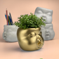 Baby Face Succulent Planter - The Leafy Branch