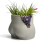 Amethyst Butt Planter - The Leafy Branch