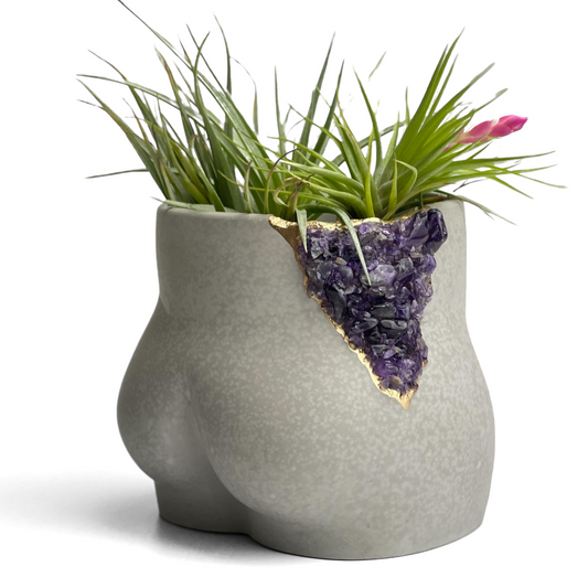 Amethyst Butt Planter - The Leafy Branch