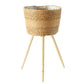 Chelsea Rattan Plant Stands - The Leafy Branch