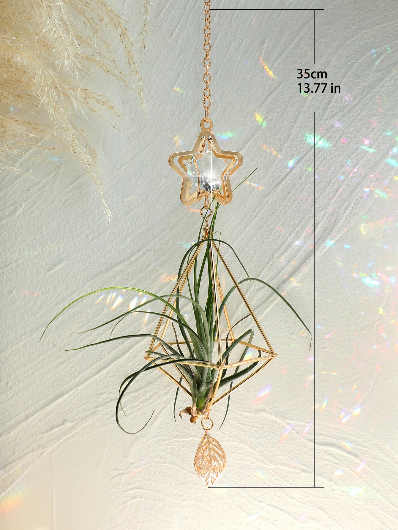 Air Plant Suncatcher - The Leafy Branch