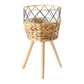 Chelsea Rattan Plant Stands - The Leafy Branch
