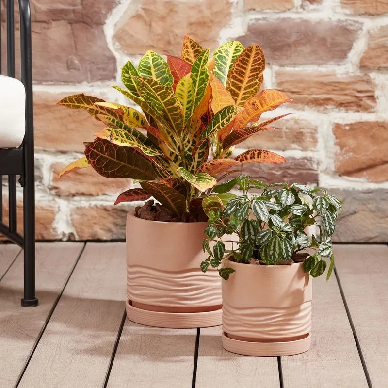 Ceramic Wave Planter - The Leafy Branch