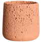 Textured Cement Planter - The Leafy Branch