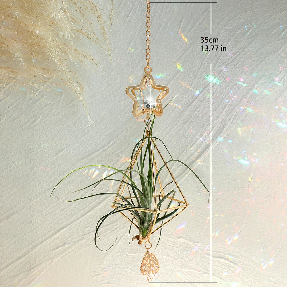 Air Plant Suncatcher - The Leafy Branch