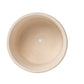 Ceramic Textured Planter - The Leafy Branch
