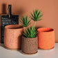 Textured Cement Planter - The Leafy Branch
