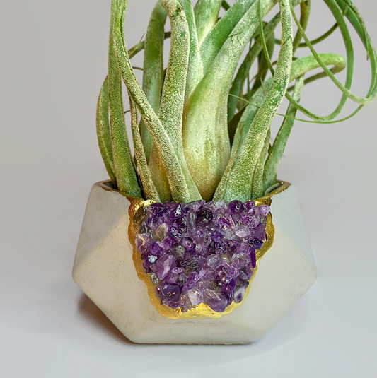 AMETHYST GEOMETRIC PLANTER - The Leafy Branch