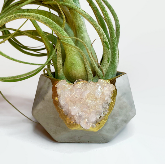 ROSE QUARTZ GEOMETRIC PLANTER - The Leafy Branch
