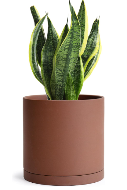 Chloe Terracotta Planter