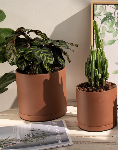 Chloe Terracotta Planter