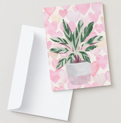 Valentine Stromanthe Greeting Card